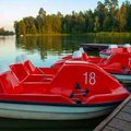 Летний досуг в Щелково: 100% натуральный отдых в городе